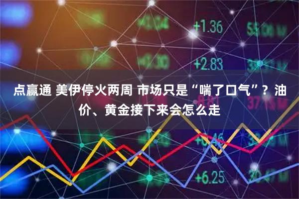 点赢通 美伊停火两周 市场只是“喘了口气”？油价、黄金接下来会怎么走